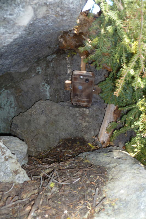 Camera Trap Set under Rock Overhang - Copyright: Chris Wemmer