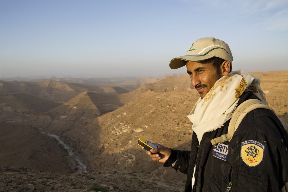 Arabian Leopard (Panthera pardus nimr) researcher Waleed Al'Rail checking gps to find camera trap in sandstone desert, Hawf Protected Area, Yemen