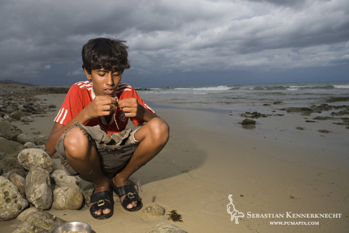 Boy hooking worm for fishing from shore, Hawf Protected Area, Yemen