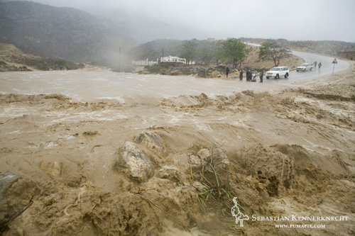 Flooding in the Hawf Protected Area, Yemen