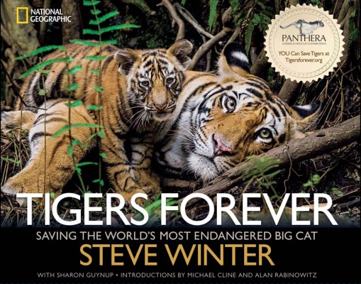 Tigers Forever Book Cover