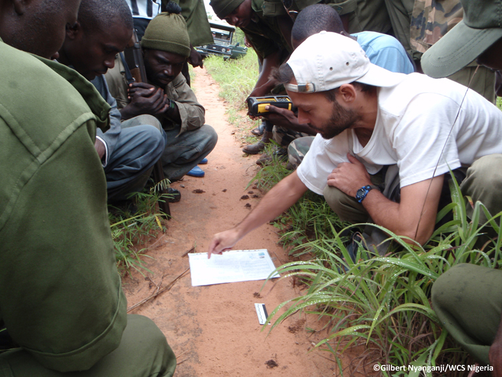 Dr. Henschel trains park rangers in lion survey techniques -- Yankari Game Reserve, Nigeria Credit: Gilbert Nyanganji/WCS Nigeria