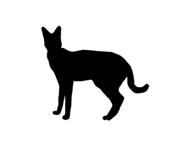 Barbary Serval Silhouette