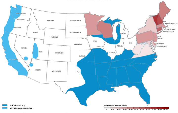 The fifteen states with the highest incidence rate of Lyme disease in the US