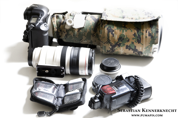 About half the photography equipment I bring on assignment (not counting camera traps)