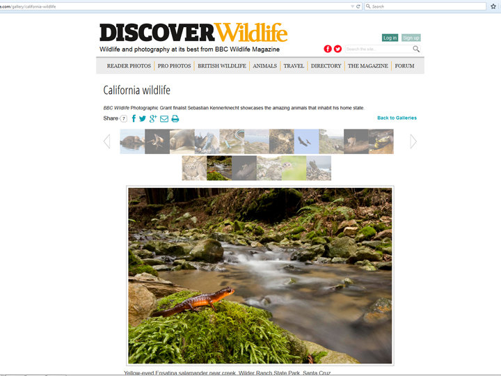 The magazine posted seventeen of my California Wildlife pictures on their website!