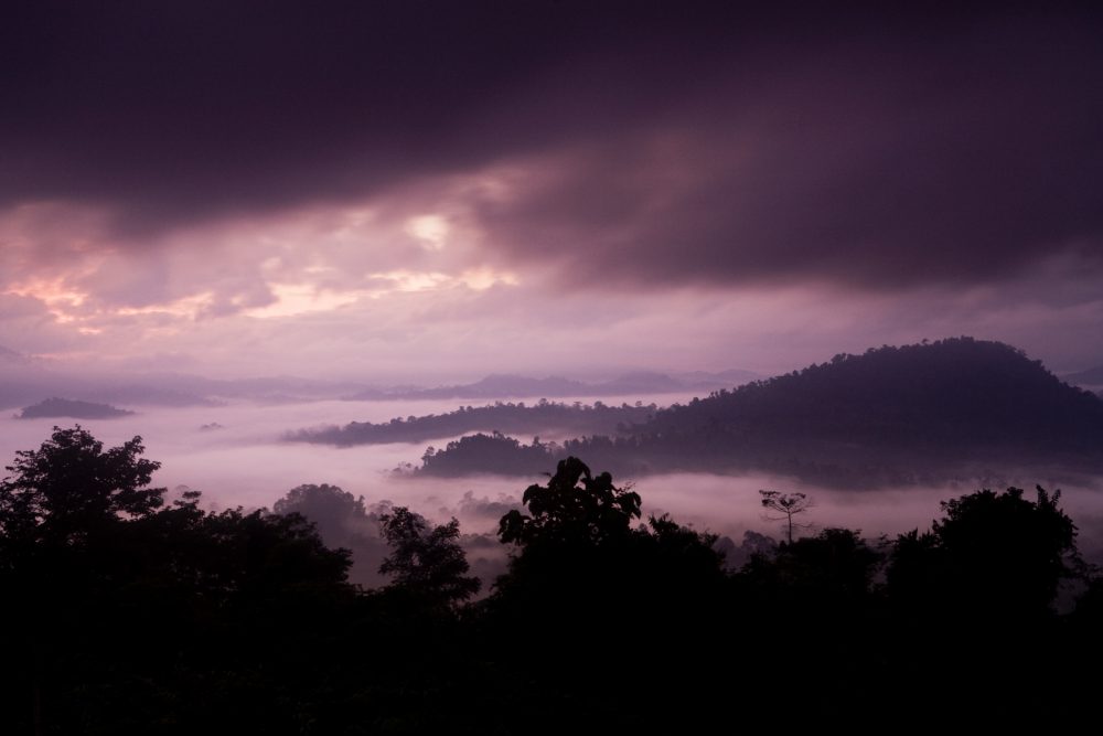 Lowland rainforest shrouded in clouds at sunrise, Danum Valley Conservation Area, Sabah, Borneo, Malaysia