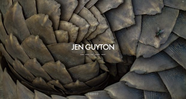 Jen Guyton
