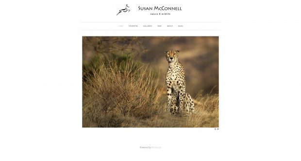 Susan McConnell - Incredible Women Wildlife Photographers
