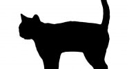 African Wild Cat Silhouette