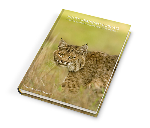 Ebook - Photographing Bobcats - Locality Guide for Finding Bobcats in the Wild_SMall